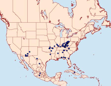 Distribution Data for Telegonus cellus