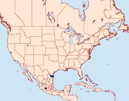 Distribution Data for Cogia calchas