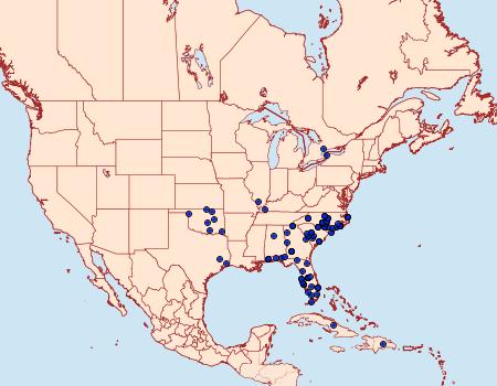 Distribution Data for Erynnis zarucco