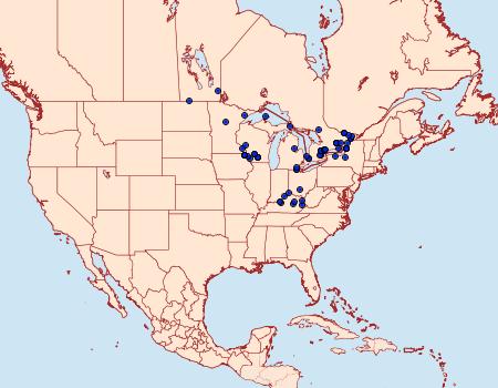 Distribution Data for Erynnis lucilius