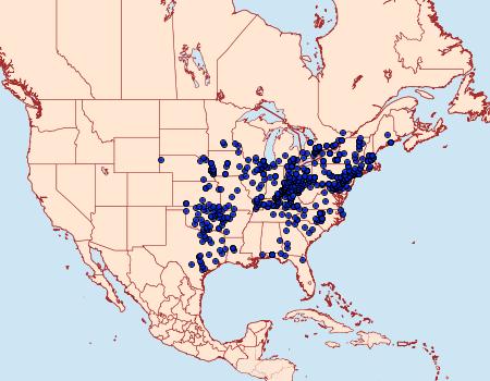 Distribution Data for Erynnis baptisiae