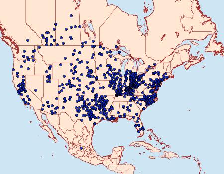 Distribution Data for Burnsius communis