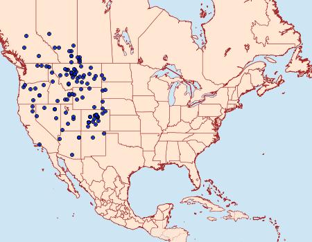 Distribution Data for Colias alexandra