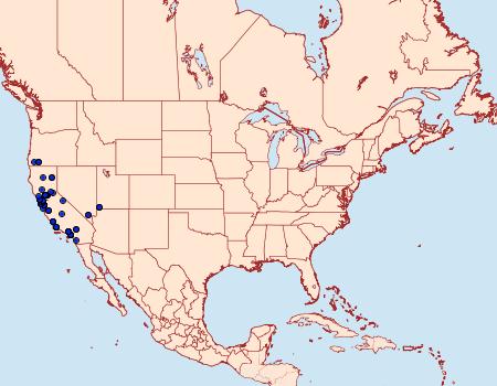 Distribution Data for Junonia grisea