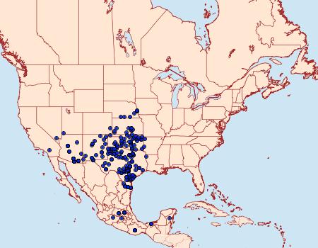 Distribution Data for Chlosyne lacinia