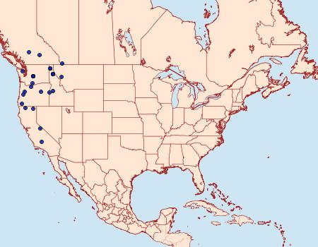Distribution Data for Euphydryas colon