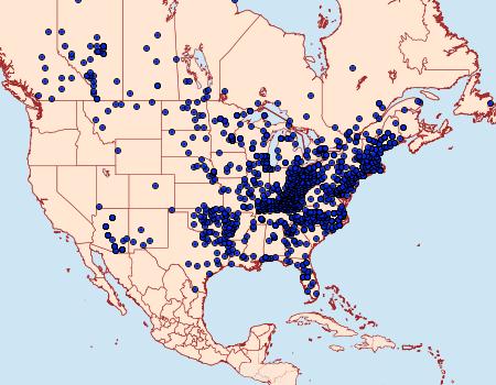 Distribution Data for Limenitis arthemis