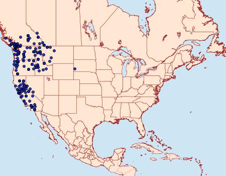 Distribution Data for Limenitis lorquini