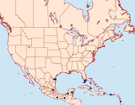 Distribution Data for Historis odius