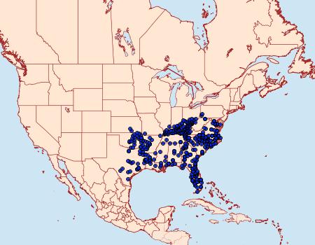 Distribution Data for Hermeuptychia sosybius