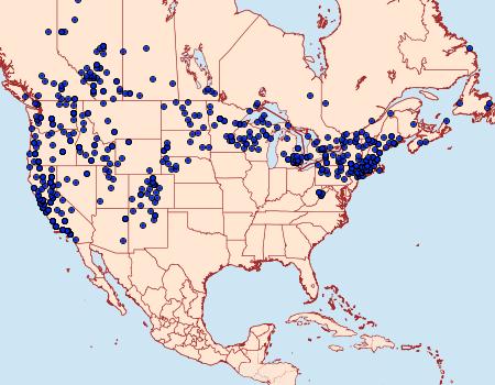 Distribution Data for Coenonympha tullia