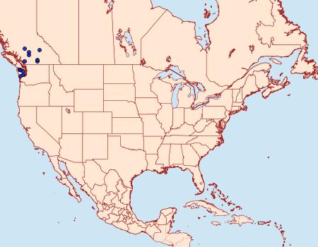 Distribution Data for Erebia vidleri