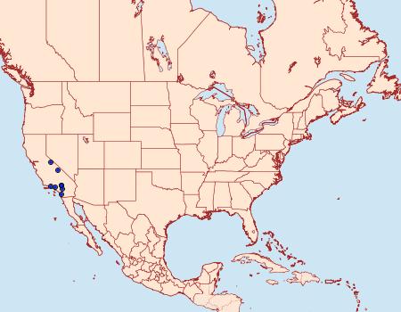 Distribution Data for Mecyna luscitialis