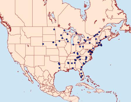 Distribution Data for Dioryctria disclusa