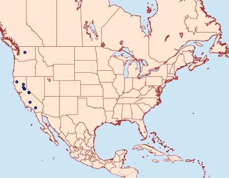 Distribution Data for Dioryctria baumhoferi