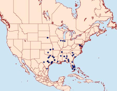 Distribution Data for Adelphia petrella