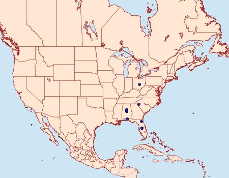 Distribution Data for Ulophora groteii