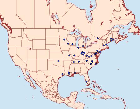 Distribution Data for Leucospilapteryx venustella