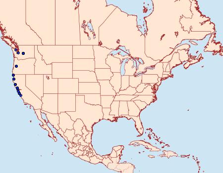 Distribution Data for Trichodezia californiata