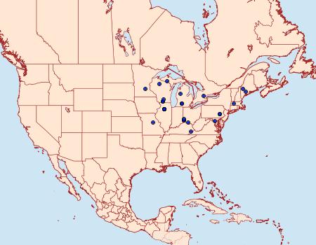 Distribution Data for Phyllonorycter clemensella