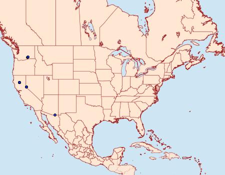Distribution Data for Phyllocnistis occidentalis