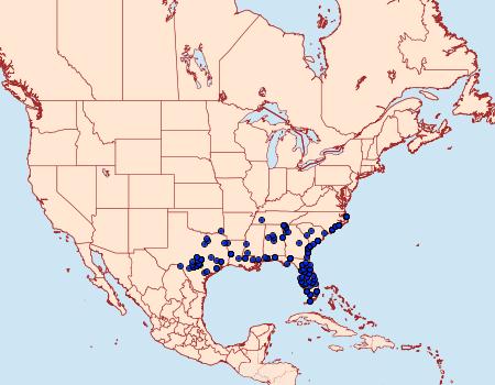 Distribution Data for Metria amella