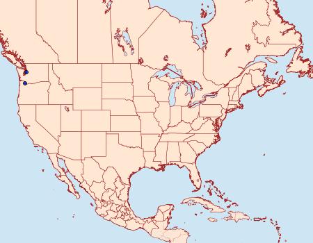 Distribution Data for Catocala faustina allusa