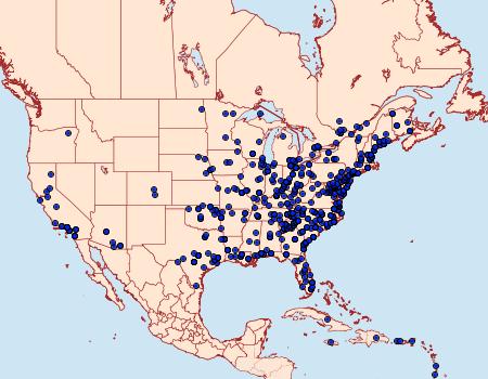 Distribution Data for Chrysodeixis includens