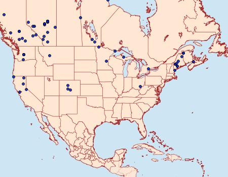 Distribution Data for Parastichtis suspecta