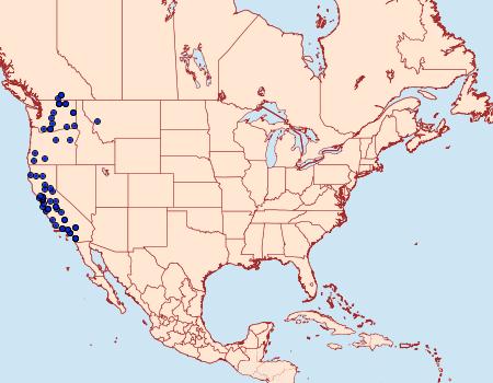 Distribution Data for Properigea albimacula