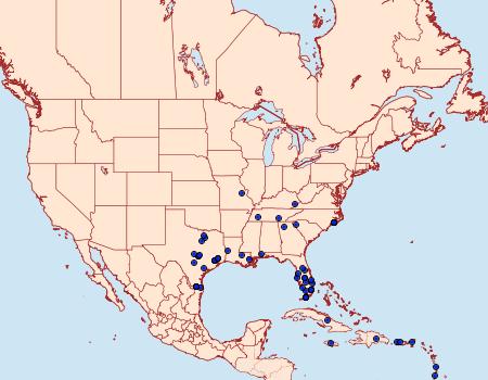 Distribution Data for Spodoptera albula