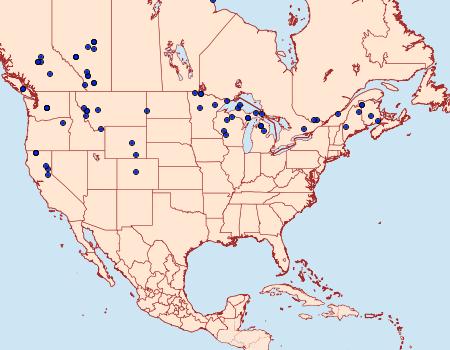 Distribution Data for Xylena thoracica
