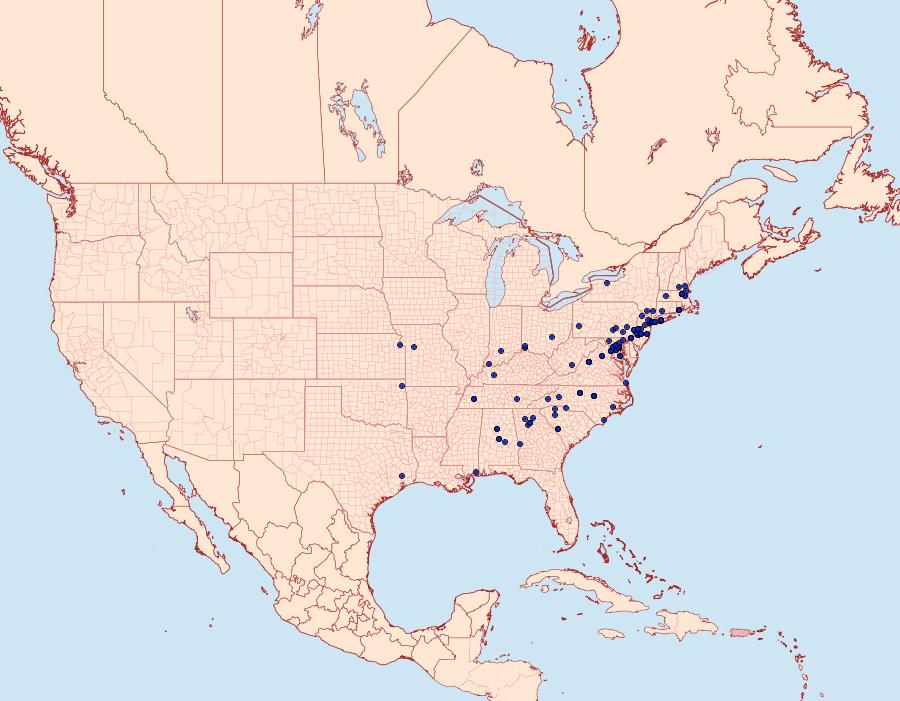 Distribution Data for Promalactis suzukiella