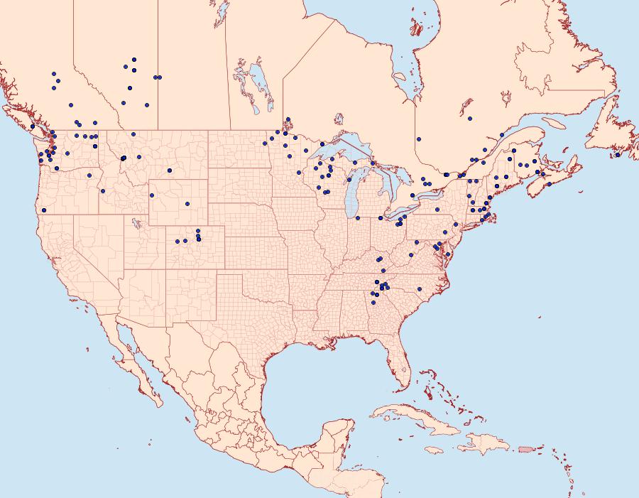 Distribution Data for Orthosia revicta