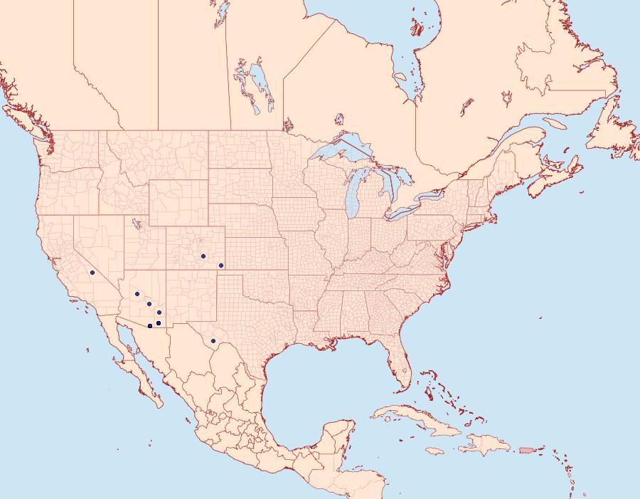 Distribution Data for Trichopolia mulina