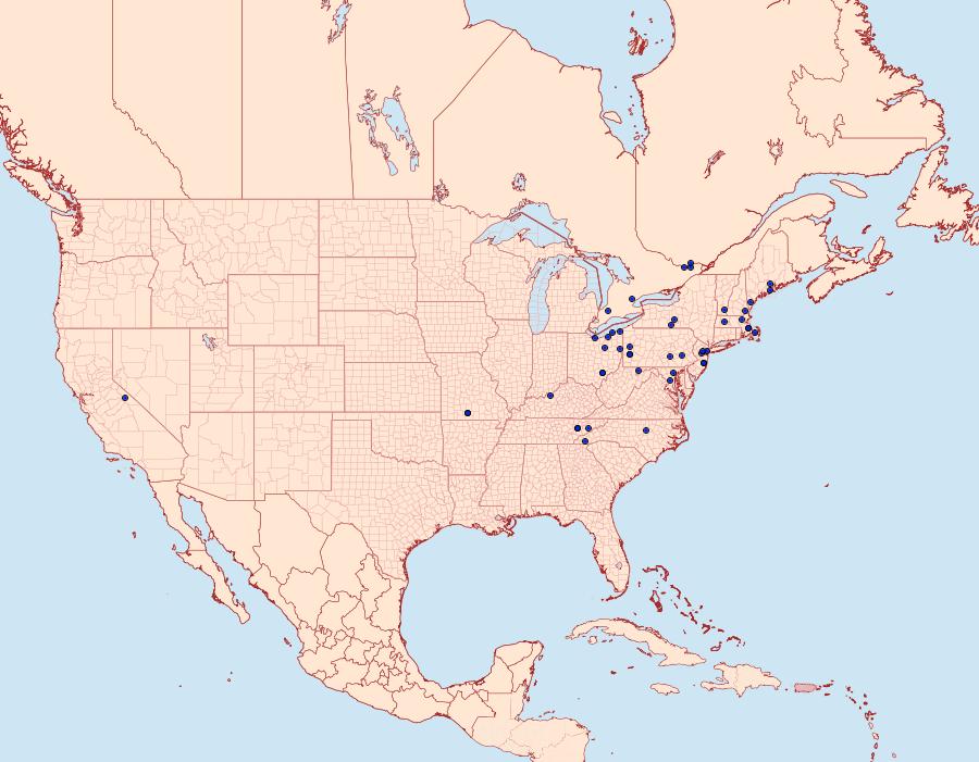 Distribution Data for Euxoa bostoniensis