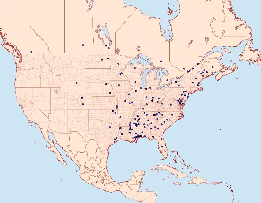 Distribution Data for Gerdana caritella