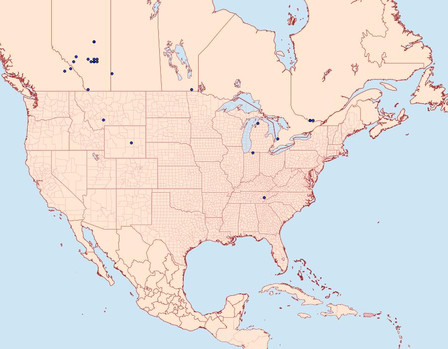 Distribution Data for Coleophora elaeagnisella