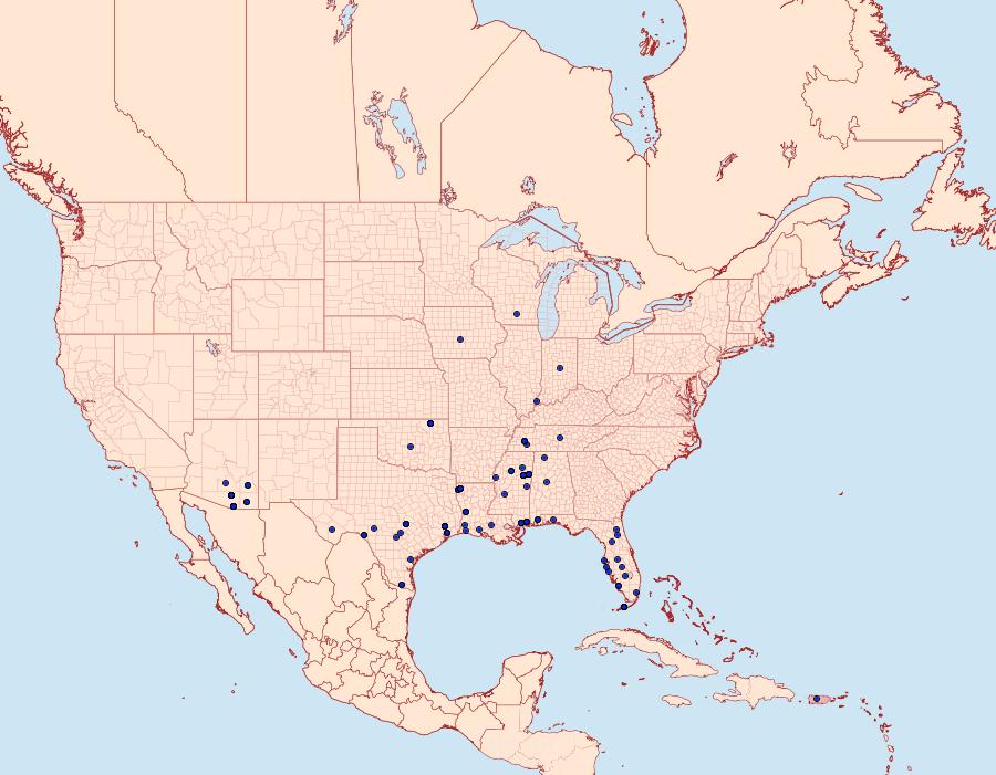 Distribution Data for Aristotelia corallina complex
