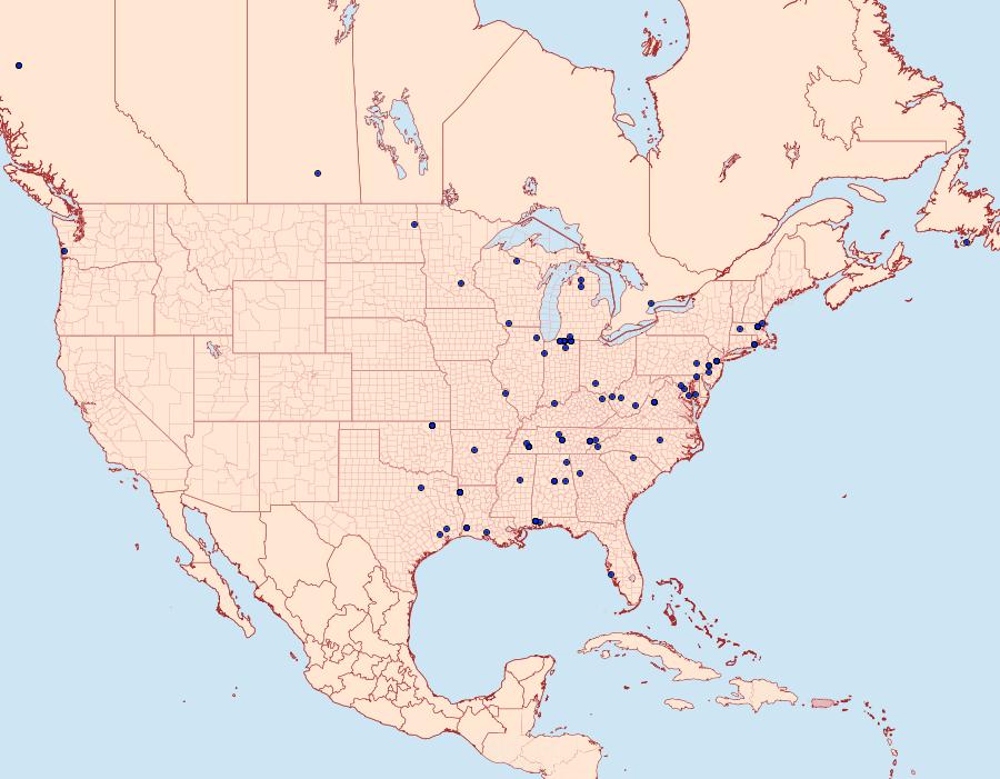 Distribution Data for Coleotechnites florae