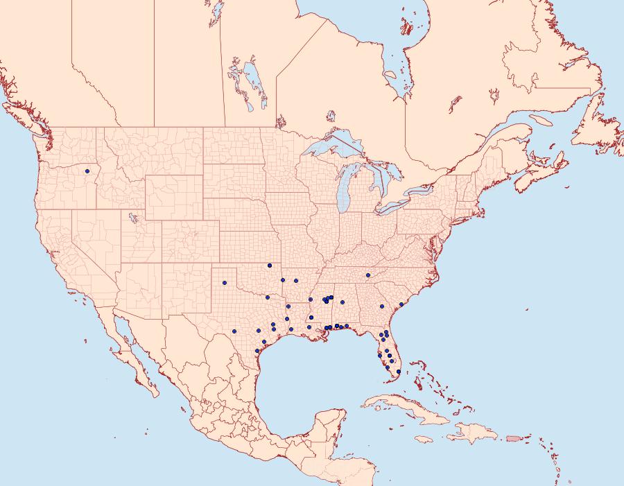 Distribution Data for Chionodes emptor