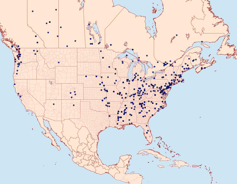 Distribution Data for Chionodes mediofuscella