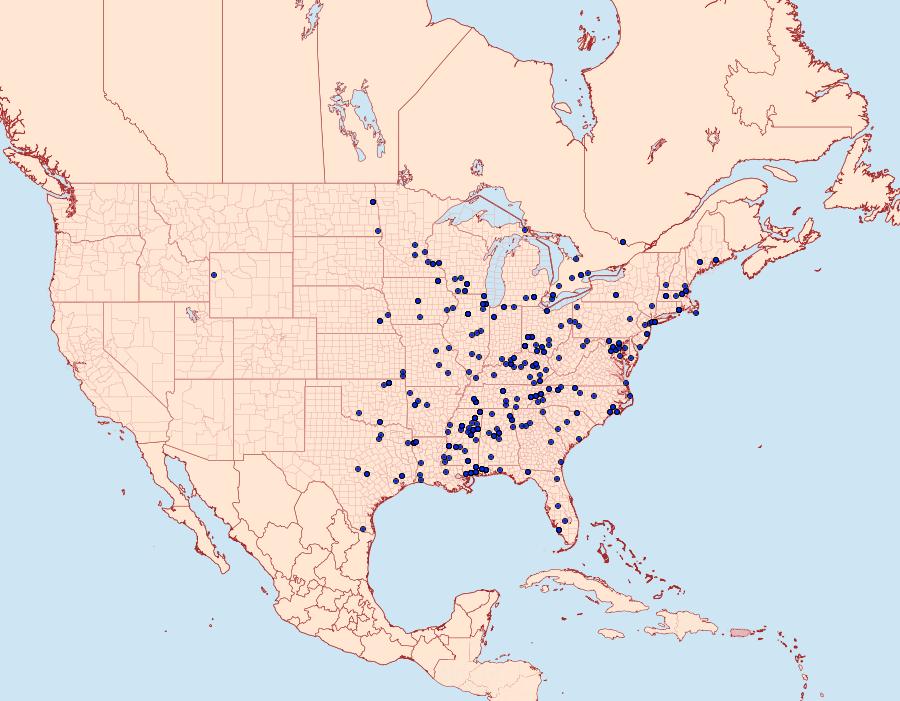 Distribution Data for Dichomeris ligulella