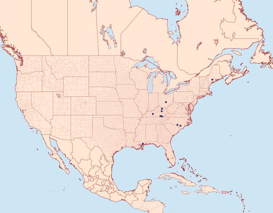 Distribution Data for Coptodisca magnella
