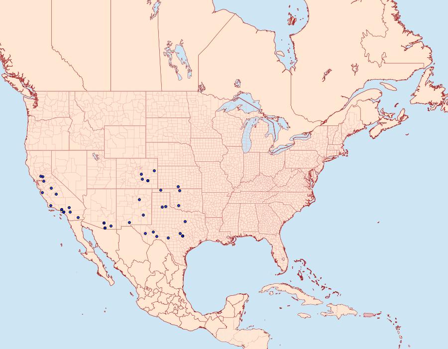 Distribution Data for Eichlinia gloriosa