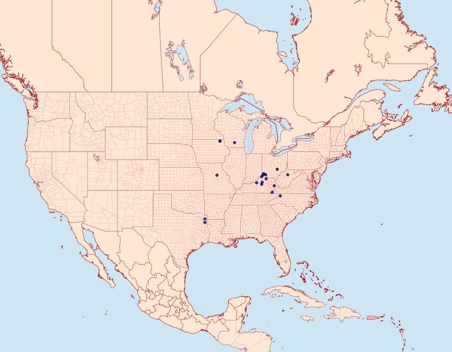 Distribution Data for Olethreutes monetiferanum