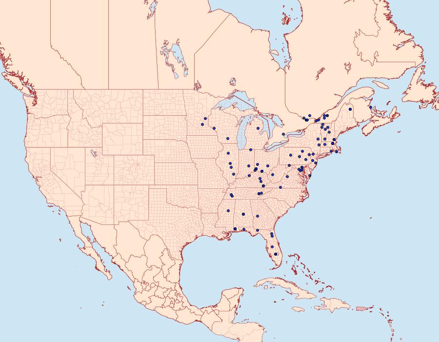 Distribution Data for Olethreutes permundana