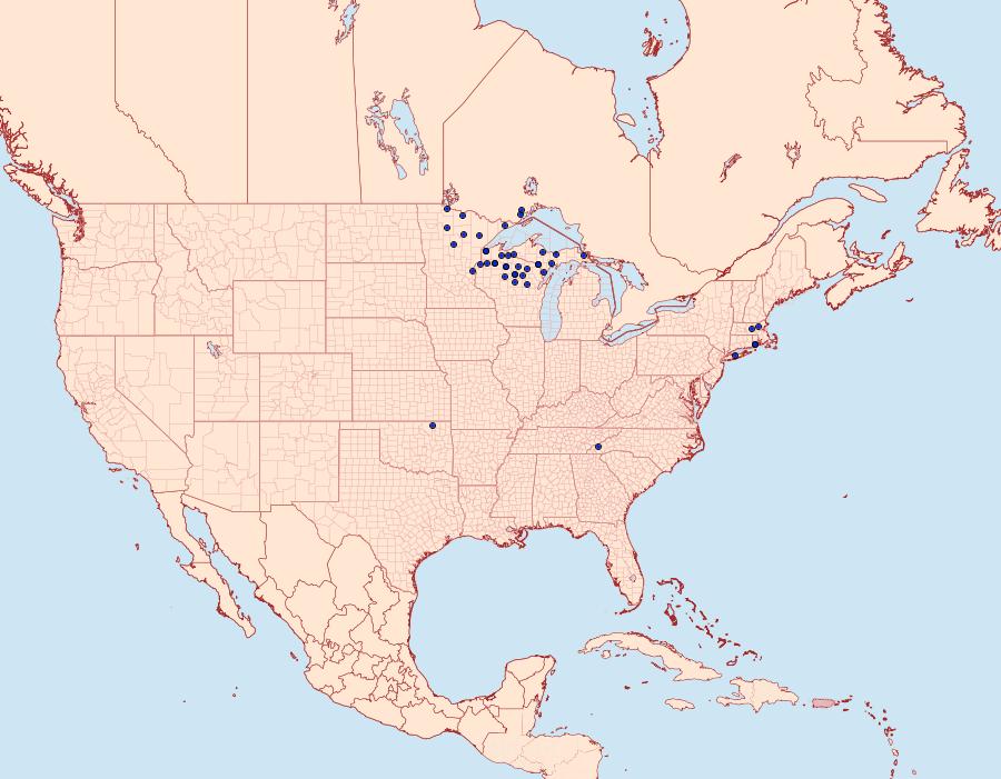 Distribution Data for Pseudexentera kalmiana