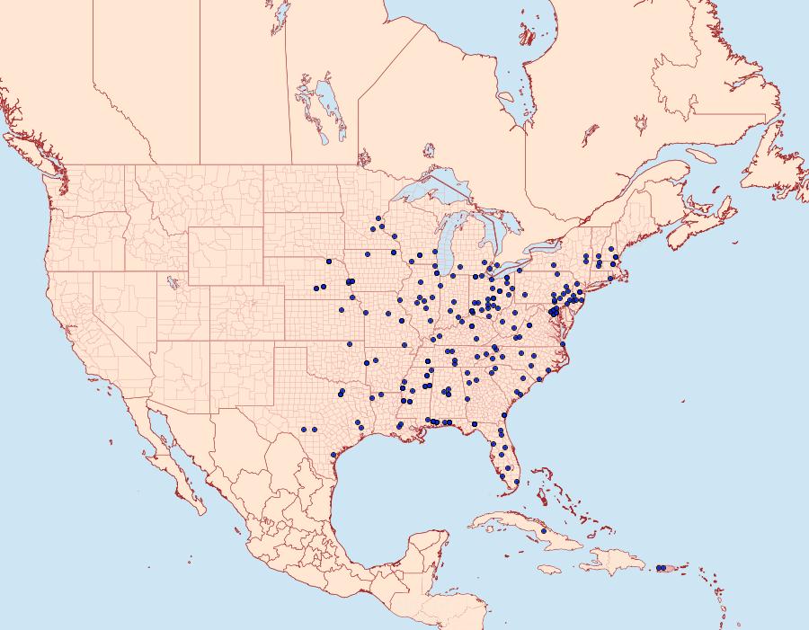 Distribution Data for Acrolophus arcanella