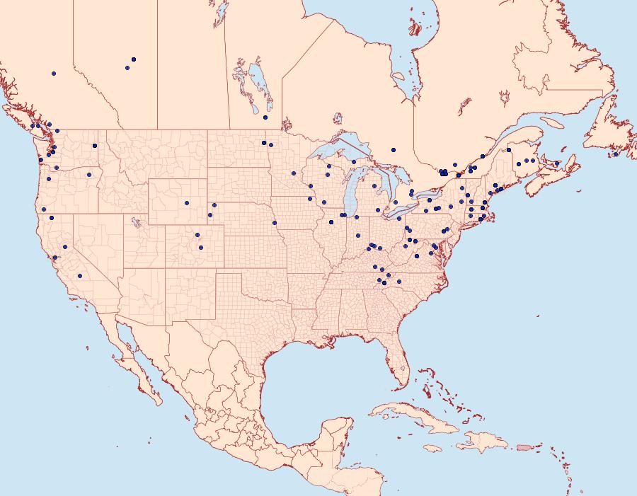 Distribution Data for Acleris nivisellana